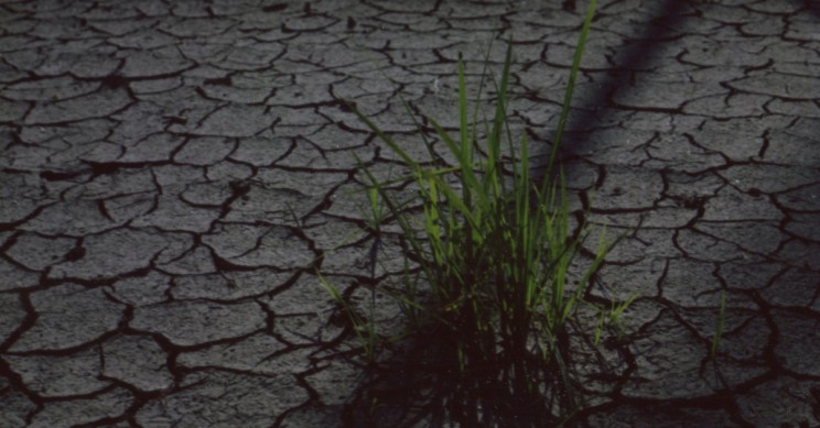 Future-Of-Food-Insecurity Future Of Food Insecurity