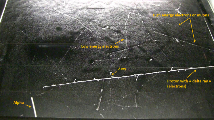 Here’s How You Can Build Your Own Cloud Chamber to Detect Cosmic Rays Here’s How You Can Build Your Own Cloud Chamber to Detect Cosmic Rays