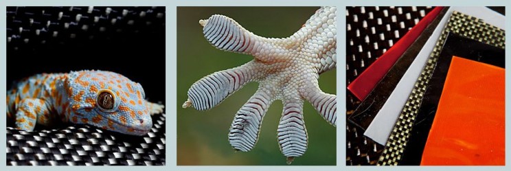 Real life super hero tech Geckskin