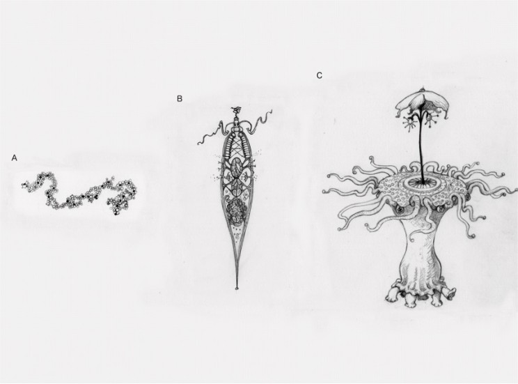 What Could Aliens Really Look Like? Scientists Take a Guess
