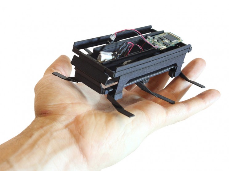 Bug Life: These 5 Robots Were Inspired by Insects Bug Life: These 5 Robots Were Inspired by Insects