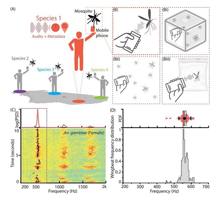 Your Mobile Can Help Researchers Identify Mosquito Species Your Mobile Can Help Researchers Identify Mosquito Species