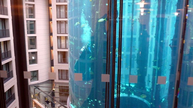You Can Ride An Elevator Inside the World's Largest Cylindrical Aquarium You Can Ride An Elevator Inside the World's Largest Cylindrical Aquarium