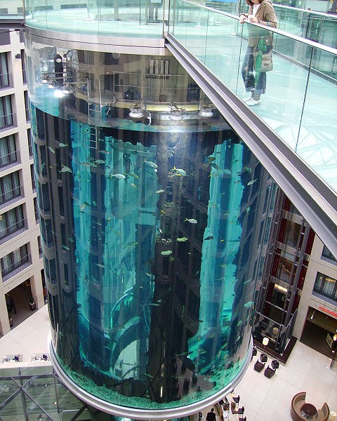 You Can Ride An Elevator Inside the World's Largest Cylindrical Aquarium You Can Ride An Elevator Inside the World's Largest Cylindrical Aquarium