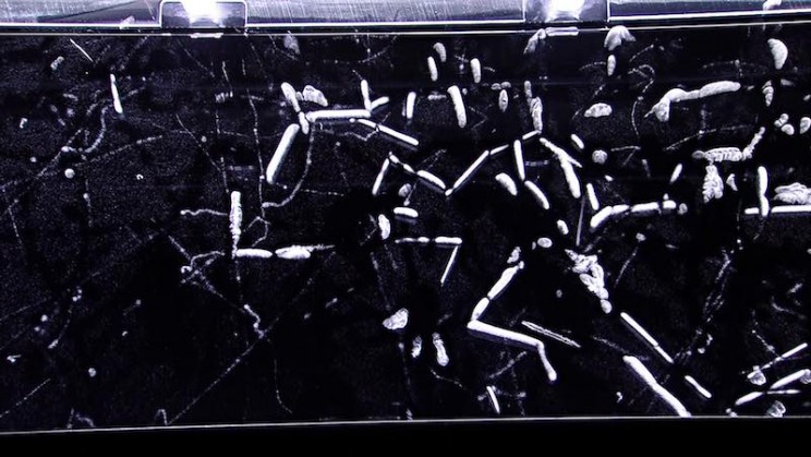 Here’s How You Can Build Your Own Cloud Chamber to Detect Cosmic Rays