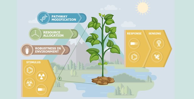 DARPA Develops Plants That Could 'Sniff' Out Bio-Weapons DARPA Develops Plants That Could 'Sniff' Out Bio-Weapons