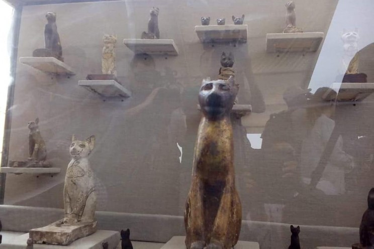 cat egypt mummies statues