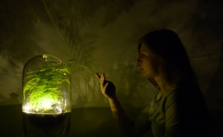 These Lamps Light Up Using Plants and Photosynthesis These Lamps Light Up Using Plants and Photosynthesis