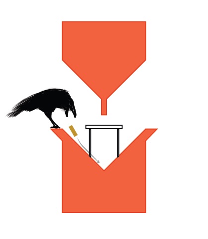 This Startup Teaches Crows to Pick up Cigarette Butts from City Streets This Startup Teaches Crows to Pick up Cigarette Butts from City Streets