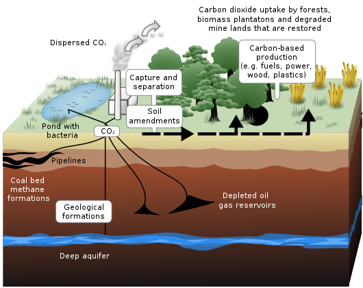 Scientists Believe We Will Need Carbon Capture Technology by 2030 Scientists Believe We Will Need Carbon Capture Technology by 2030