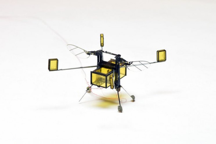 This Autonomous Robot Bee Uses Combustible Rockets to Dive in and out of Water This Autonomous Robot Bee Uses Combustible Rockets to Dive in and out of Water