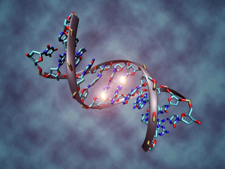Researchers Crack Genetic Engineering in 3-Dimensional Space