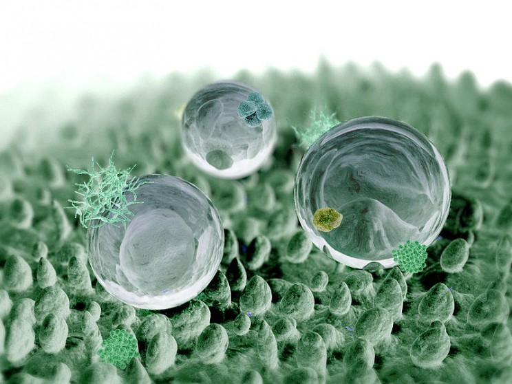 Nasiol nanocoating in nature