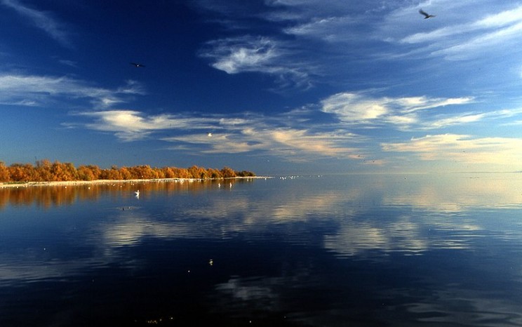 Salton Sea view