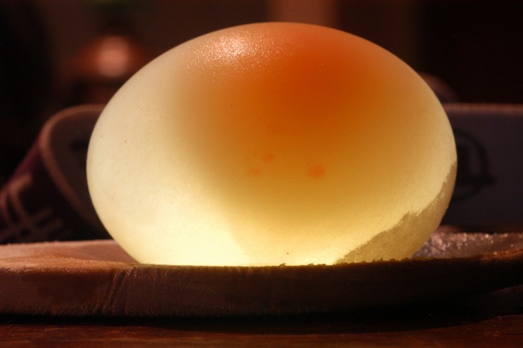 15 Halloween Science Projects to Make Any Party Awesome