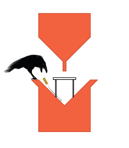 This Startup Teaches Crows to Pick up Cigarette Butts from City Streets This Startup Teaches Crows to Pick up Cigarette Butts from City Streets