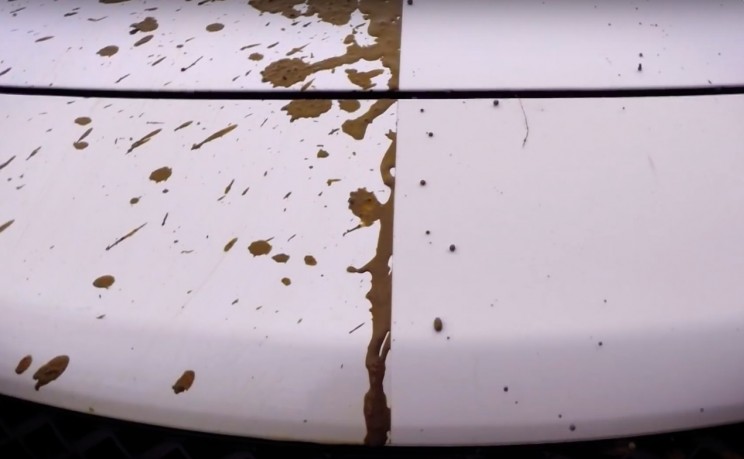 This Self-Cleaning Car Paint Could Put Car Washes out of Business This Self-Cleaning Car Paint Could Put Car Washes out of Business