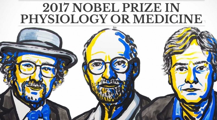 Nobel Prize in Medicine Awarded for the Discovery of How Our Cells Track Time