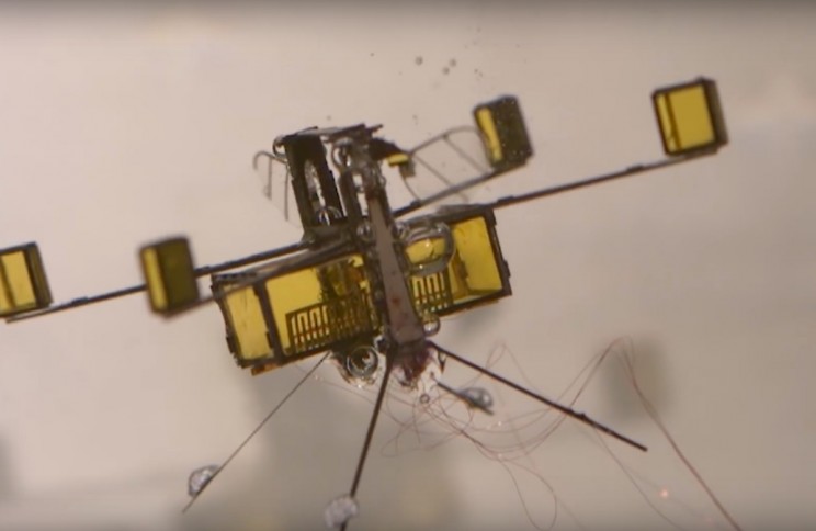 This Autonomous Robot Bee Uses Combustible Rockets to Dive in and out of Water This Autonomous Robot Bee Uses Combustible Rockets to Dive in and out of Water