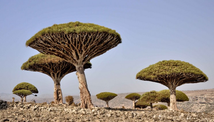 The 10 Least Inhabited Places In the World That Will Surprise You The 10 Least Inhabited Places In the World That Will Surprise You