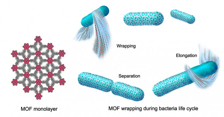 UC Berkeley space bacteria microbe spacesuit