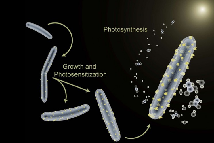 UC Berkeley spacesuit suit hybrid bacteria microbe