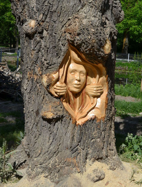 This Engineer Turned Artist Transforms Dead Wood into Incredible Works of Art This Engineer Turned Artist Transforms Dead Wood into Incredible Works of Art