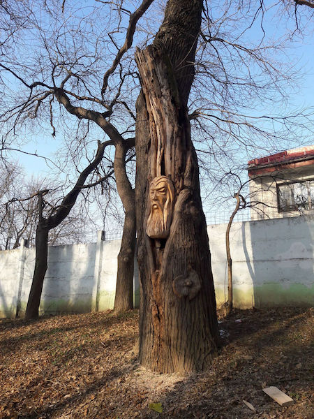 This Engineer Turned Artist Transforms Dead Wood into Incredible Works of Art This Engineer Turned Artist Transforms Dead Wood into Incredible Works of Art