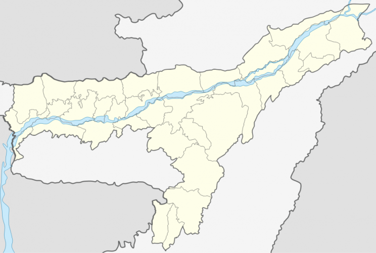 molai forest