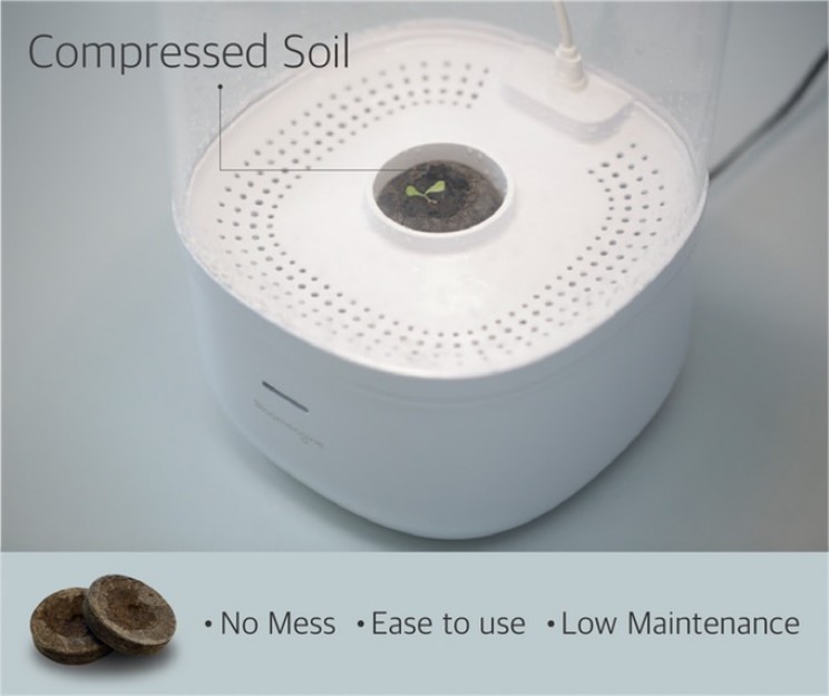 This Smart Indoor Planter Will Get You Closer to Nature This Smart Indoor Planter Will Get You Closer to Nature