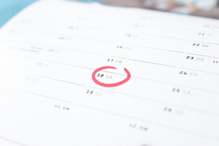 Team management software calendar