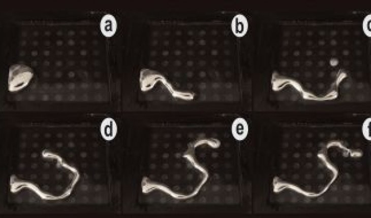 Shape Shifting Liquid Metal Could Revolutionize Robotics Shape Shifting Liquid Metal Could Revolutionize Robotics