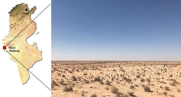 This Company Wants to Harness Solar Energy from Saharan Sun to Power Europe This Company Wants to Harness Solar Energy from Saharan Sun to Power Europe
