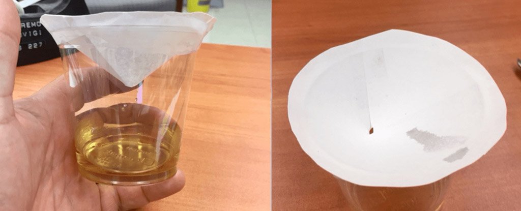 This Scientist Built A Trap to Get Rid of Fruit Flies This Scientist Built A Trap to Get Rid of Fruit Flies