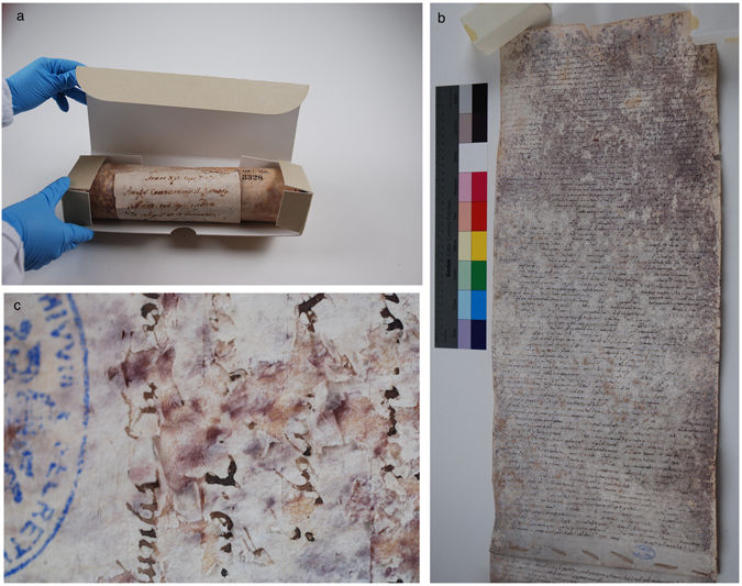 Scientists Finally Solve the Mystery of 800-Year-Old Vatican Scroll Scientists Finally Solve the Mystery of 800-Year-Old Vatican Scroll