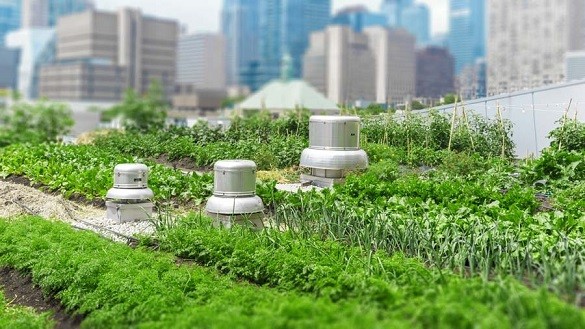 This Company Is Developing Pop-Up Urban Farms for City Streets This Company Is Developing Pop-Up Urban Farms for City Streets