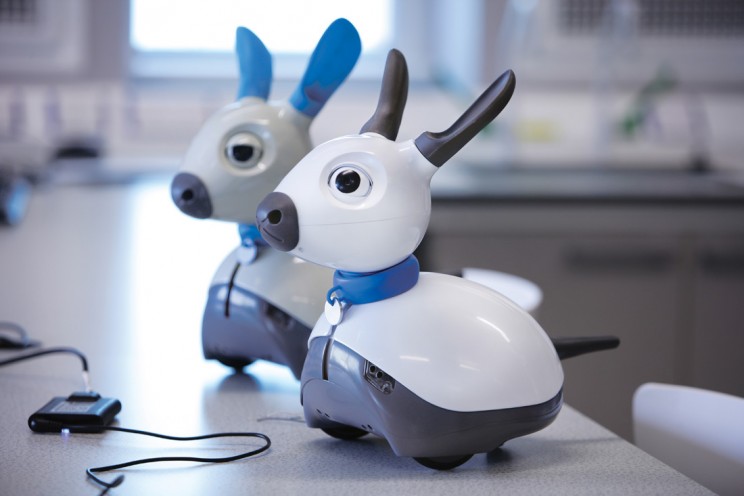 This Cute Robot Dog Will Actually Pass Out If Your Feet Stink This Cute Robot Dog Will Actually Pass Out If Your Feet Stink