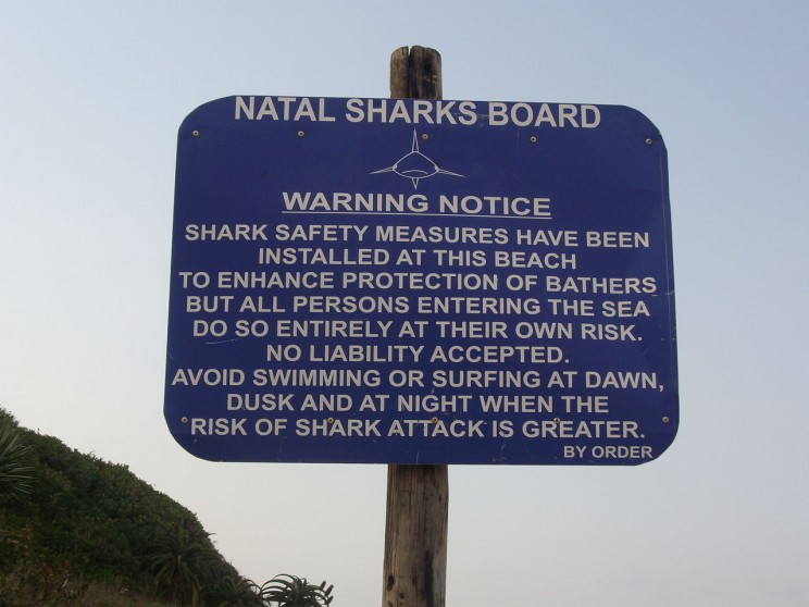 shark notice