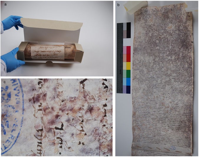 Scientists Finally Solve the Mystery of 800-Year-Old Vatican Scroll Scientists Finally Solve the Mystery of 800-Year-Old Vatican Scroll