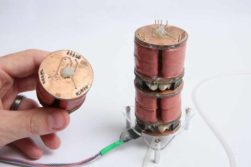 This Worm-Like Robot Can Scale Walls, Clean Your Windows and Feed The Dog This Worm-Like Robot Can Scale Walls, Clean Your Windows and Feed The Dog