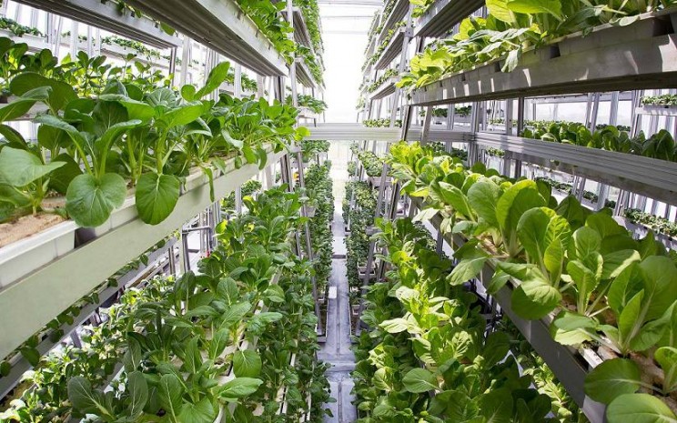 food engineering plants
