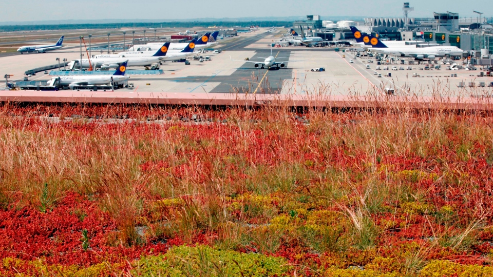 15 Interesting Green Roofs From Around the World 15 Interesting Green Roofs From Around the World