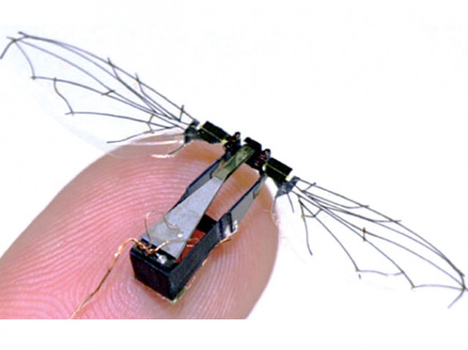 Smallest robot 2024