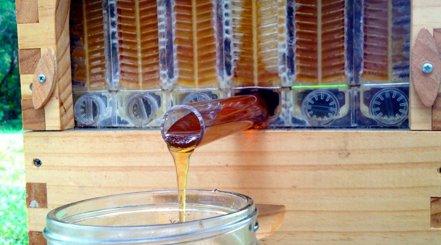 flow-honey_draining_1-gallery