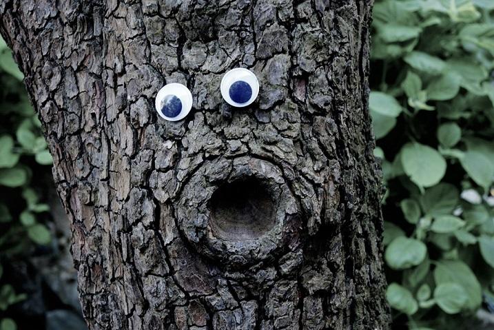 Tree with googlye eyes