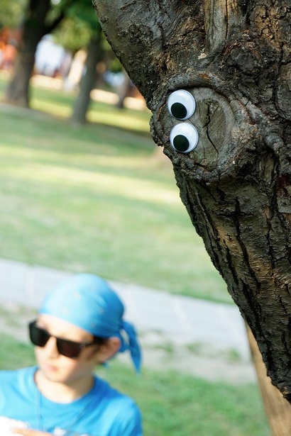 Tree trunk with googly eyes