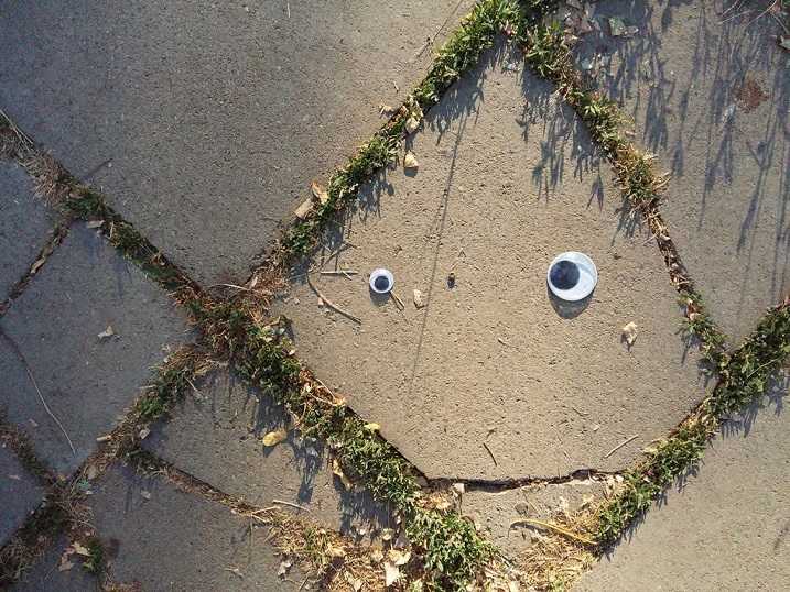 Street pavement tile with googly eyes