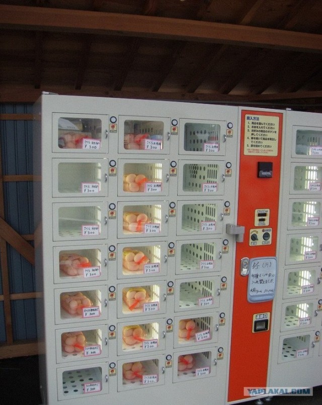 49+ Interesting Vending Machines Around the World 49+ Interesting Vending Machines Around the World