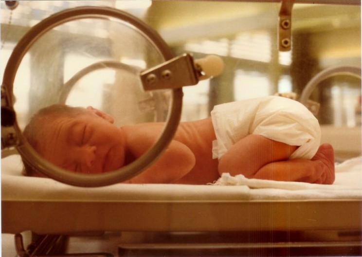This Artificial Womb Just Successfully Grew a Sheep, Humans Could Be Next