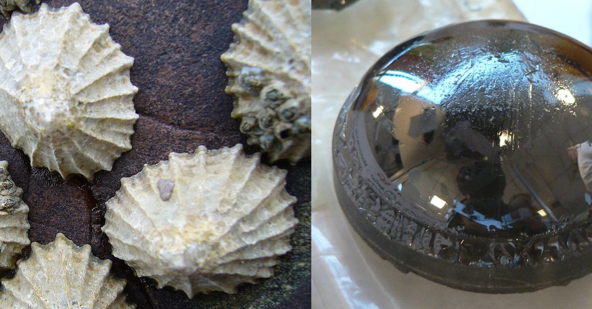 Battle Royal 13 of the World's Strongest Materials